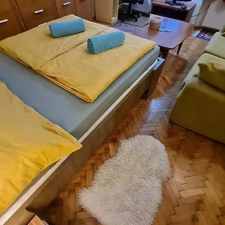 Homestay Weiner Downtown *